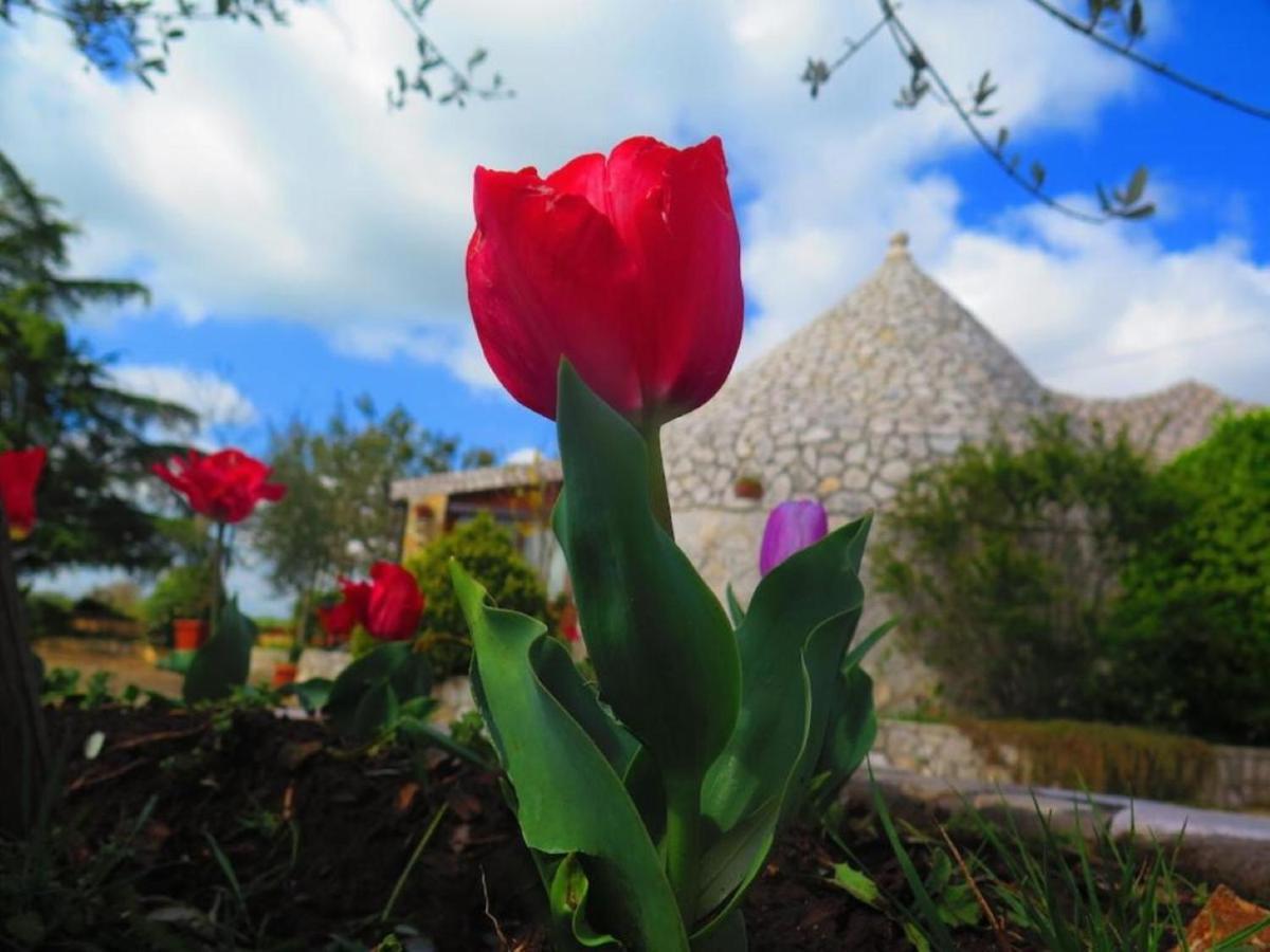 B&B Mandorla Amara Джоя-дель-Колле Экстерьер фото